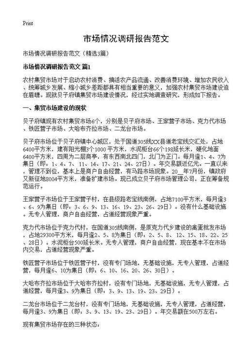 市场情况调研报告范文