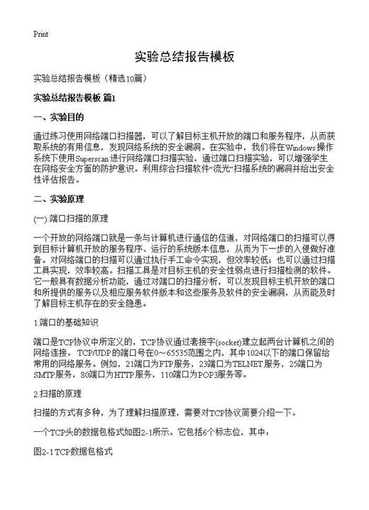 实验总结报告模板