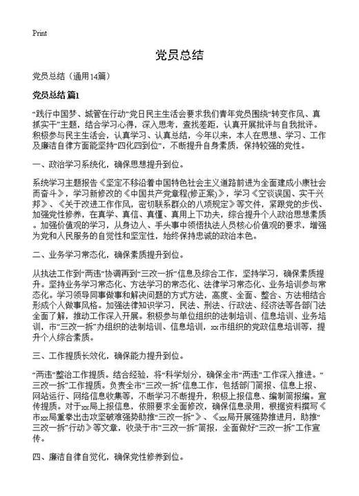 党员总结