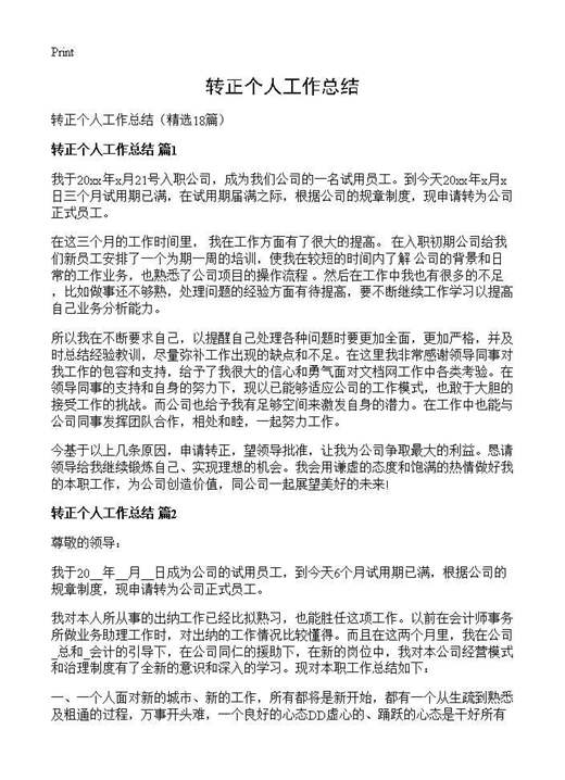 转正个人工作总结