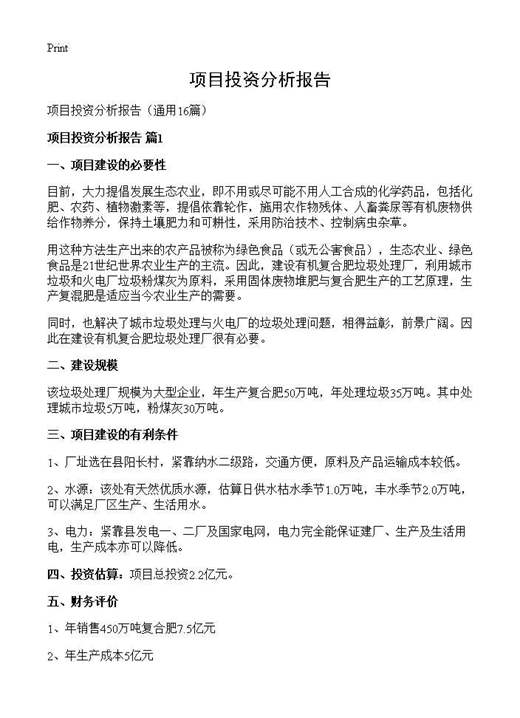 项目投资分析报告
