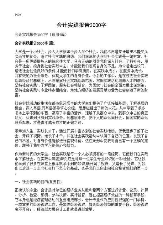 会计实践报告3000字