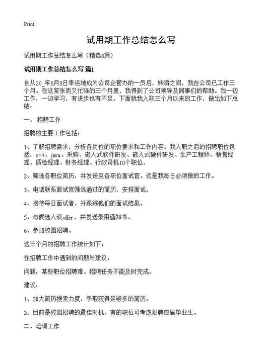 试用期工作总结怎么写