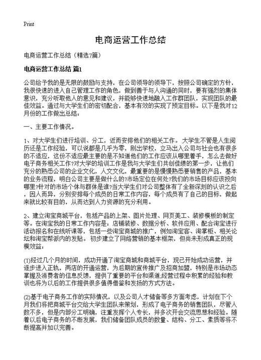 电商运营工作总结