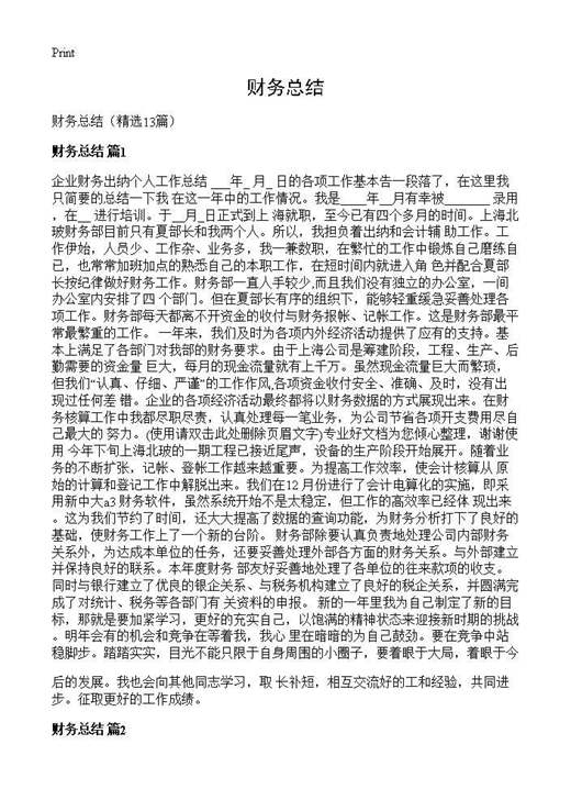 财务总结