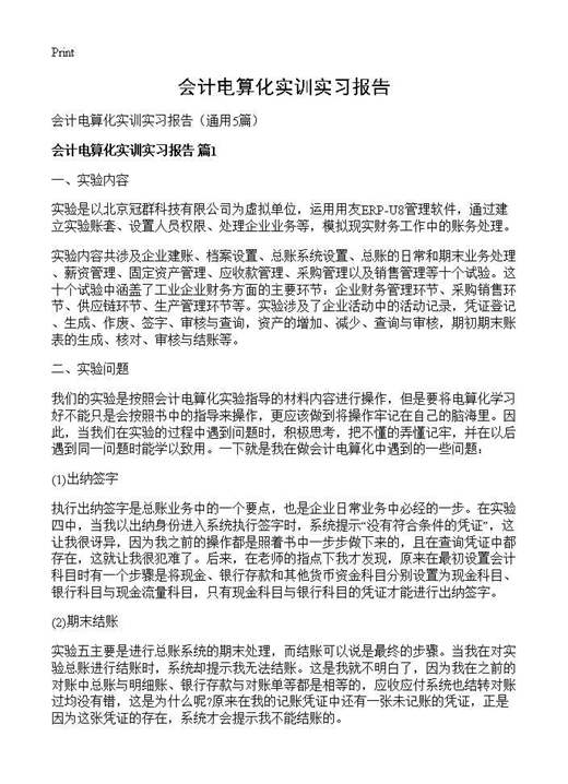 会计电算化实训实习报告
