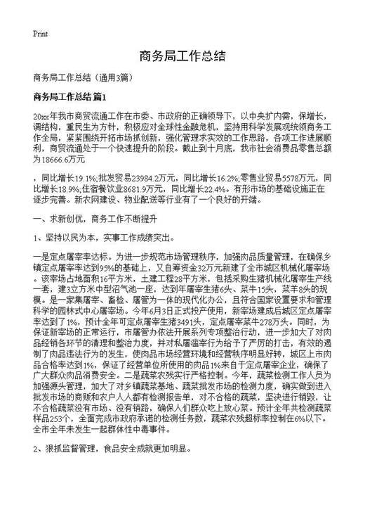 商务局工作总结