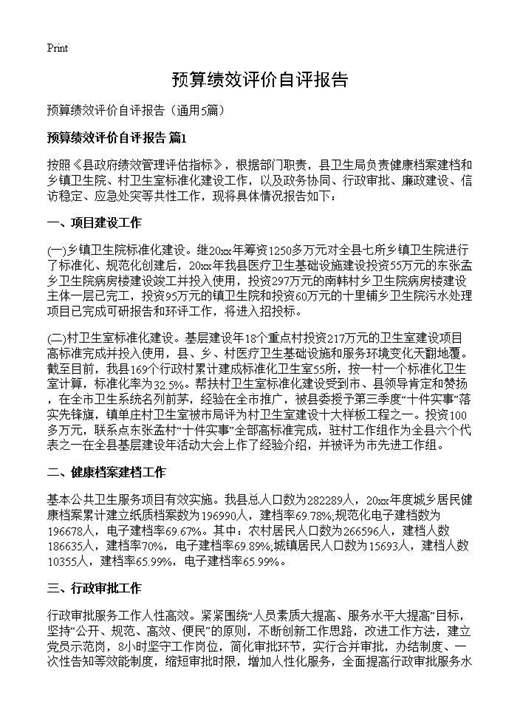 预算绩效评价自评报告