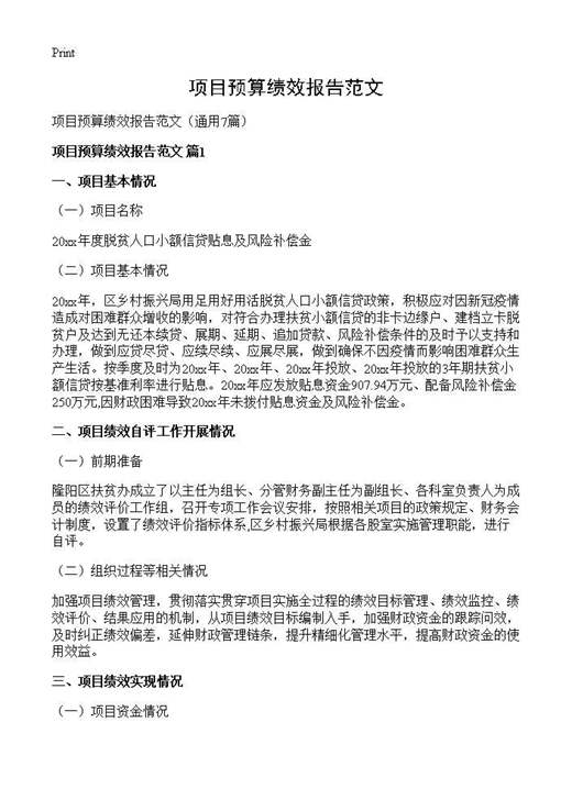 项目预算绩效报告范文