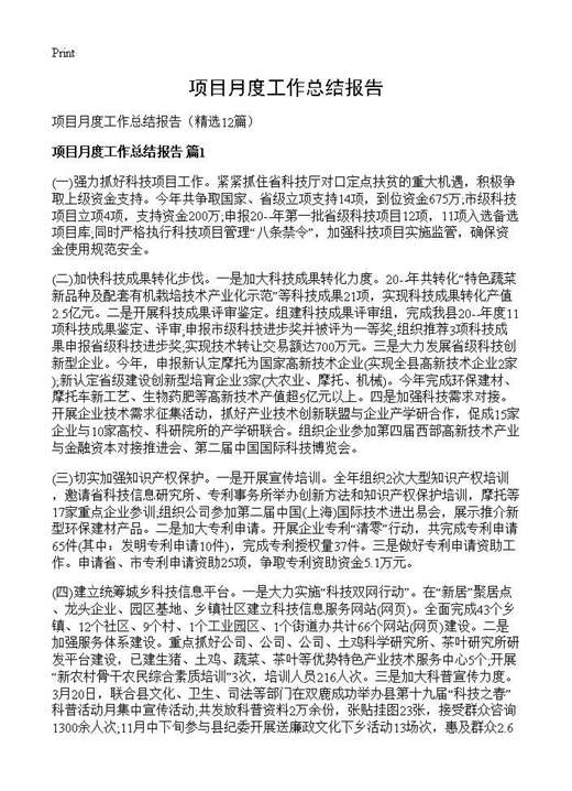 项目月度工作总结报告