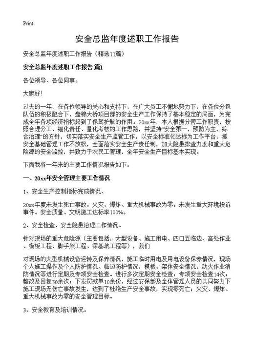 安全总监年度述职工作报告