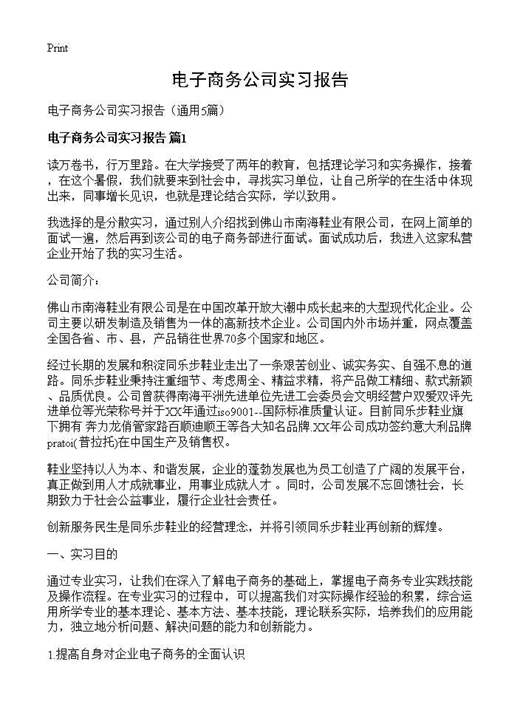 电子商务公司实习报告