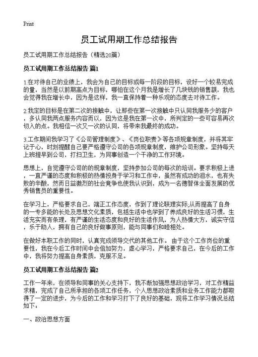 员工试用期工作总结报告