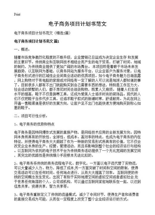 电子商务项目计划书范文