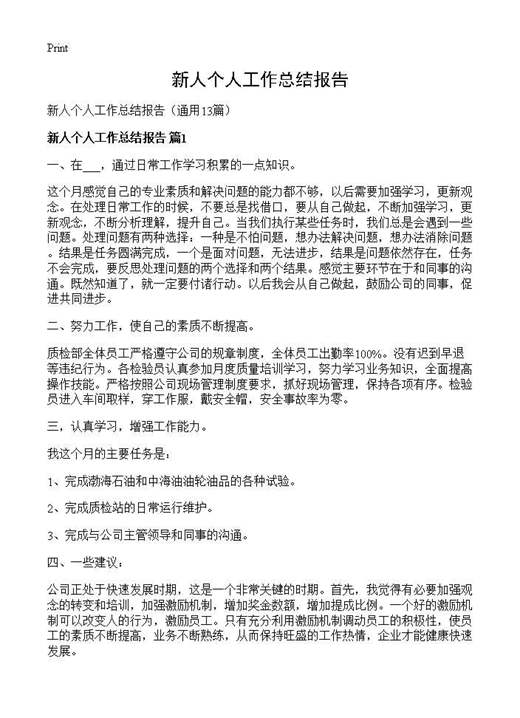 新人个人工作总结报告