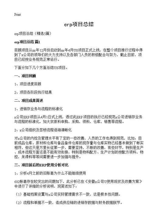 erp项目总结