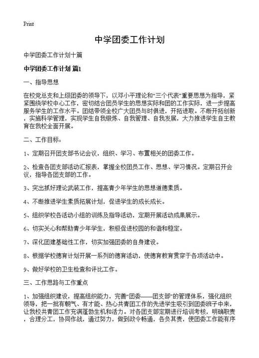 中学团委工作计划