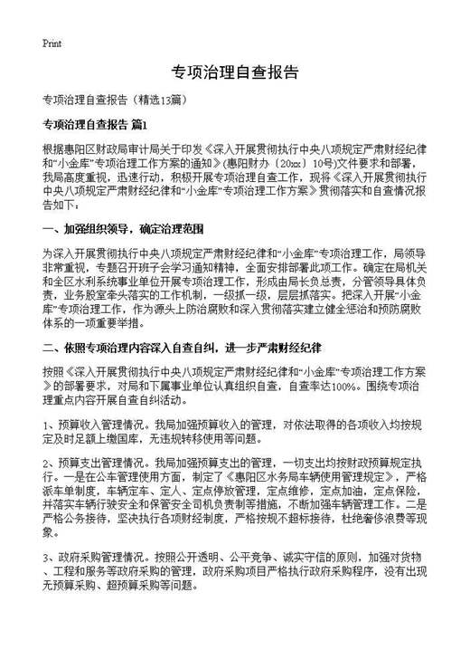 专项治理自查报告
