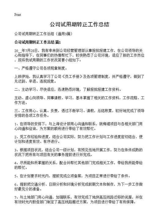 公司试用期转正工作总结