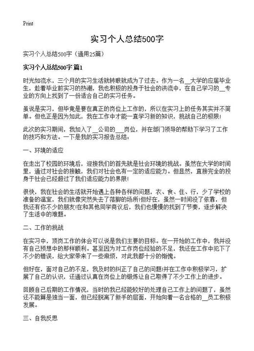 实习个人总结500字