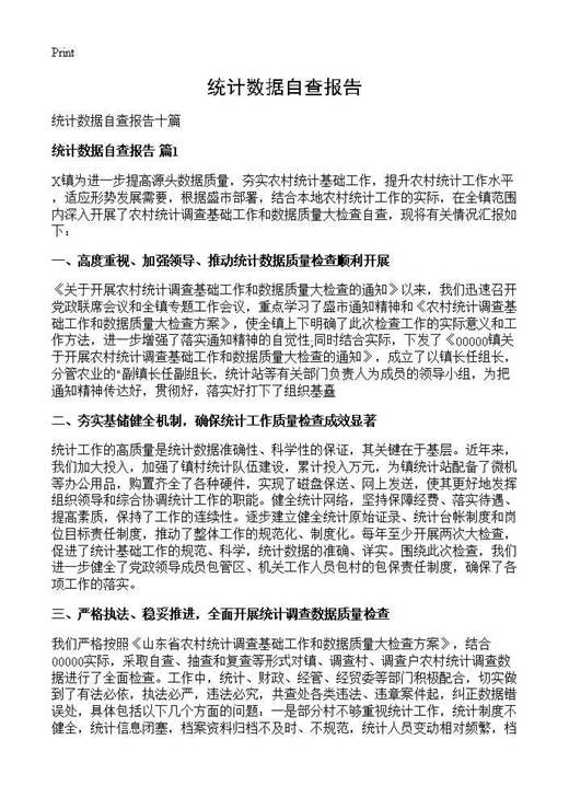 统计数据自查报告