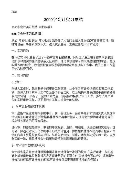 3000字会计实习总结