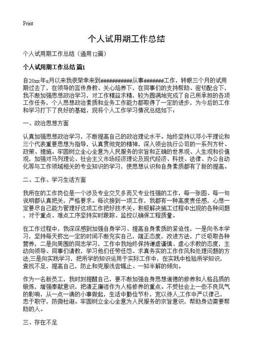 个人试用期工作总结