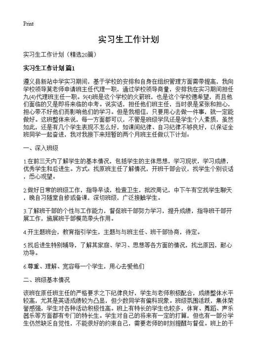 实习生工作计划