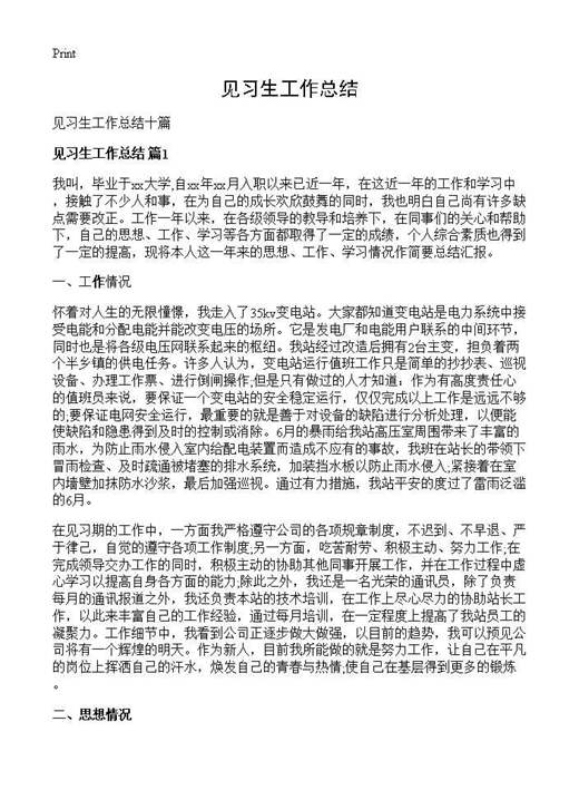 见习生工作总结