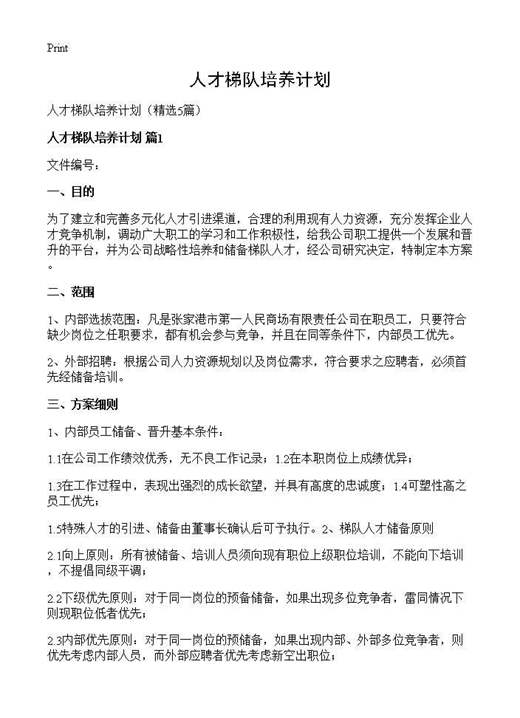 人才梯队培养计划