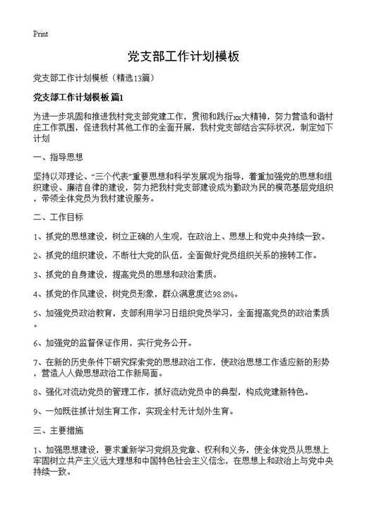 党支部工作计划模板