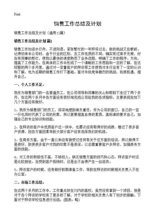 销售工作总结及计划