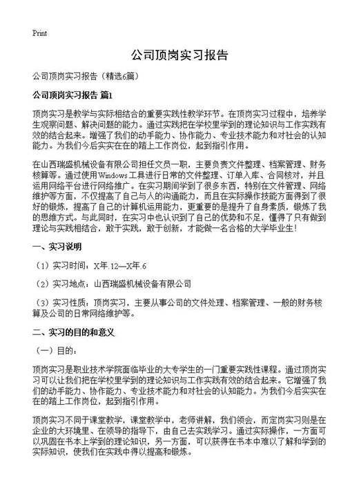 公司顶岗实习报告