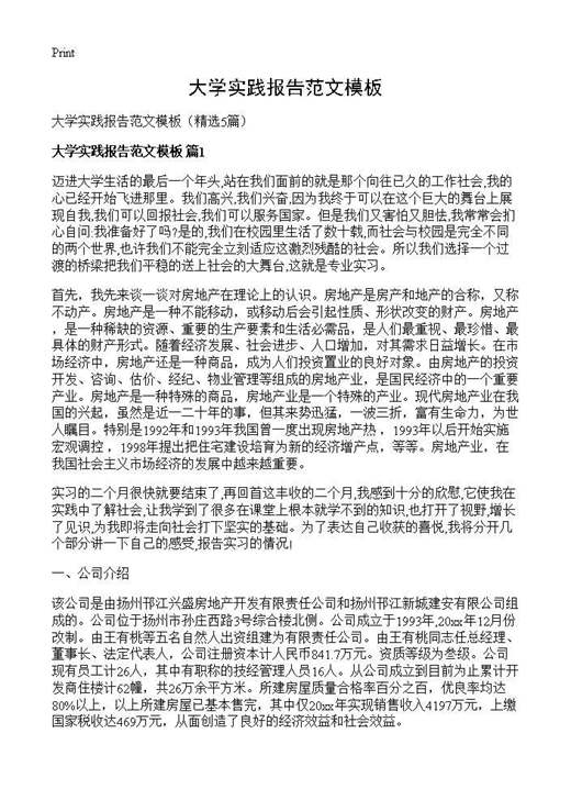 大学实践报告范文模板