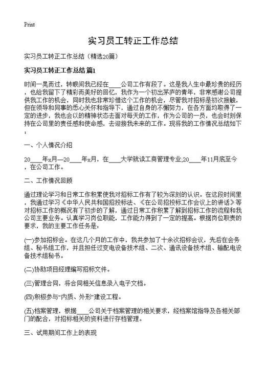 实习员工转正工作总结