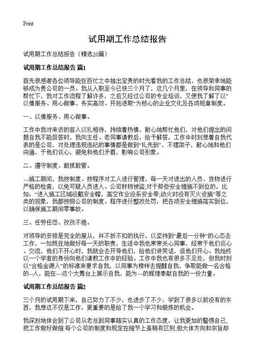 试用期工作总结报告