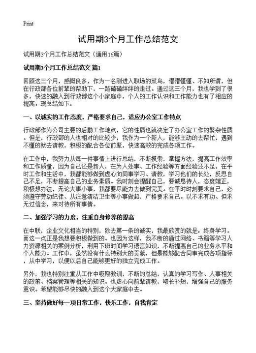 试用期3个月工作总结范文