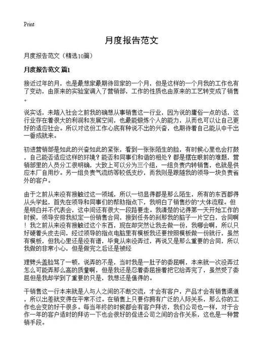 月度报告范文