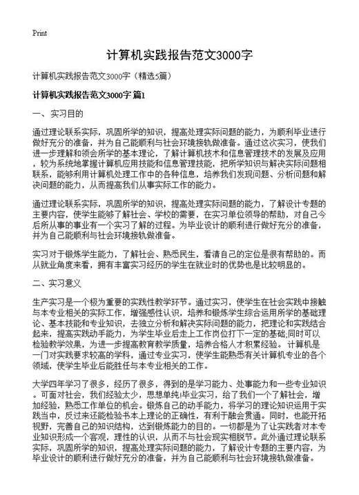 计算机实践报告范文3000字