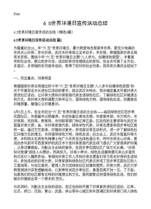 6.5世界环境日宣传活动总结