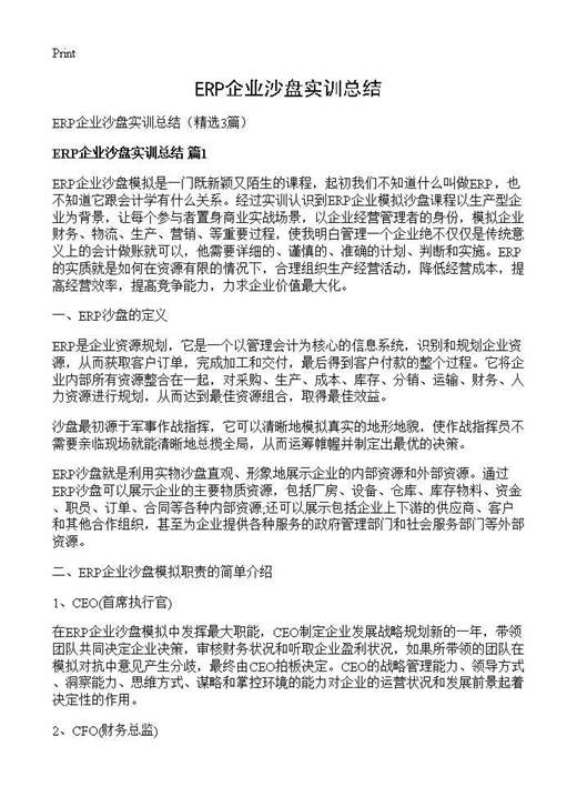 ERP企业沙盘实训总结