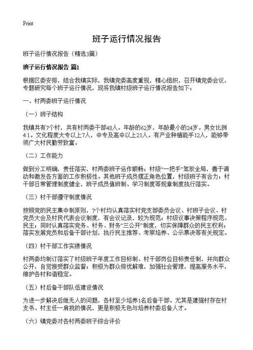 班子运行情况报告