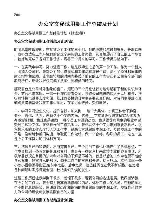 办公室文秘试用期工作总结及计划