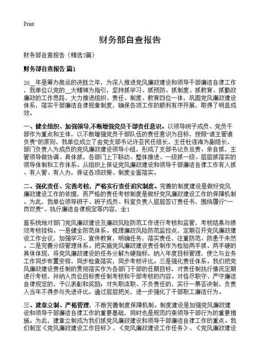 财务部自查报告