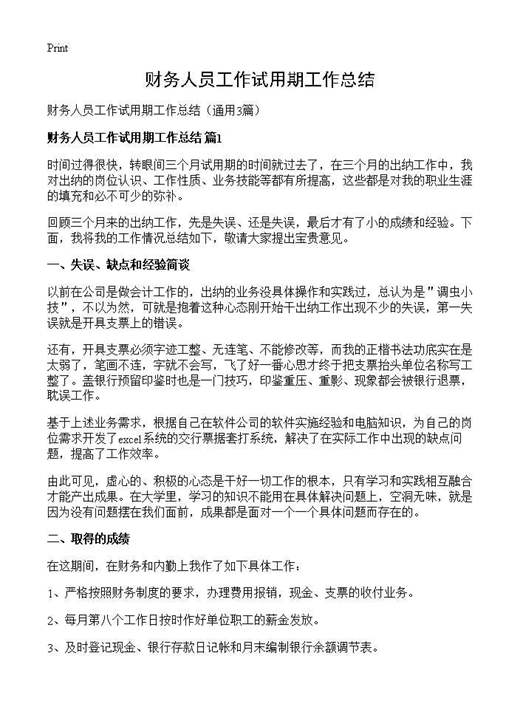 财务人员工作试用期工作总结