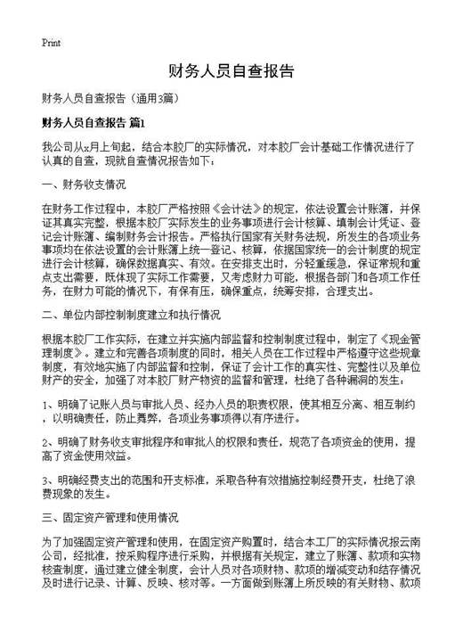财务人员自查报告