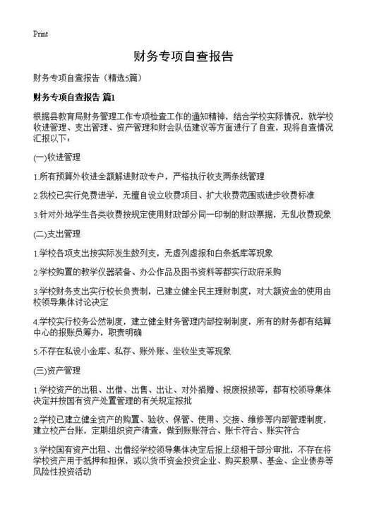 财务专项自查报告