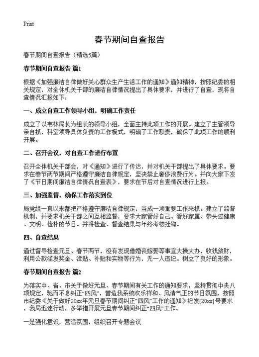 春节期间自查报告