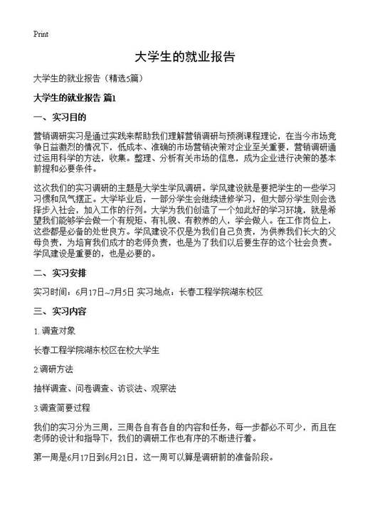 大学生的就业报告