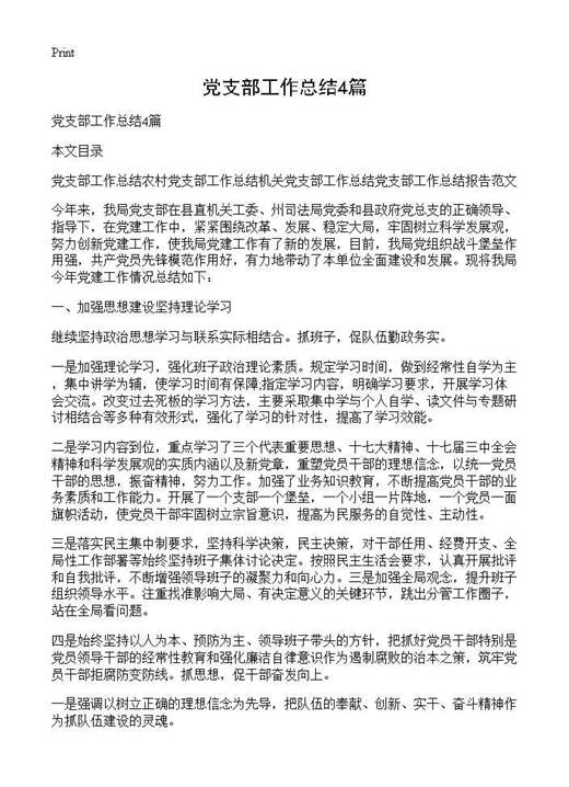 党支部工作总结